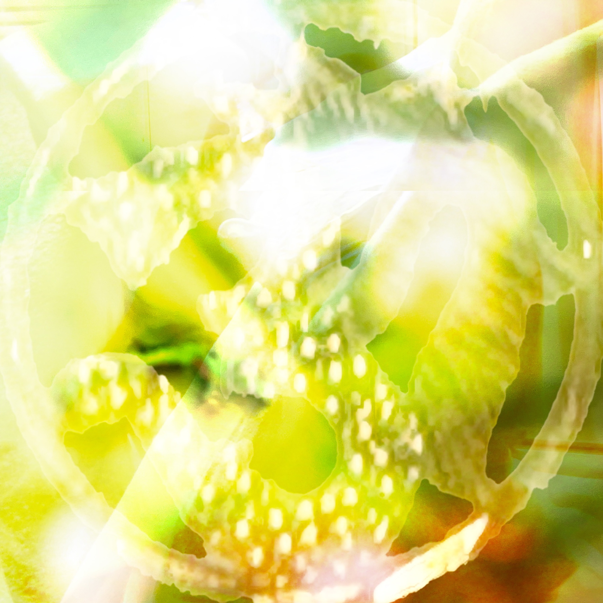 Album 2 cover artwork